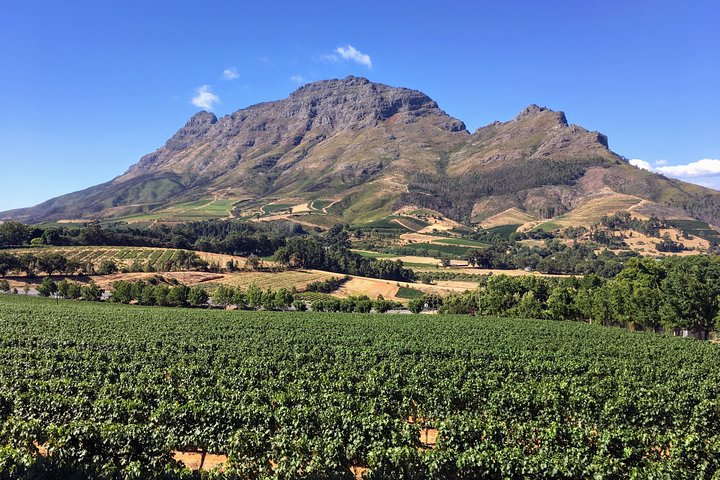 Wine tasting - Boutique farms - Photo 1 of 10